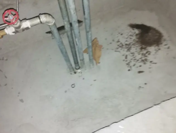 咸宁市卫生间测漏水价格明细