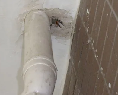 咸宁市漏水检测哪家好